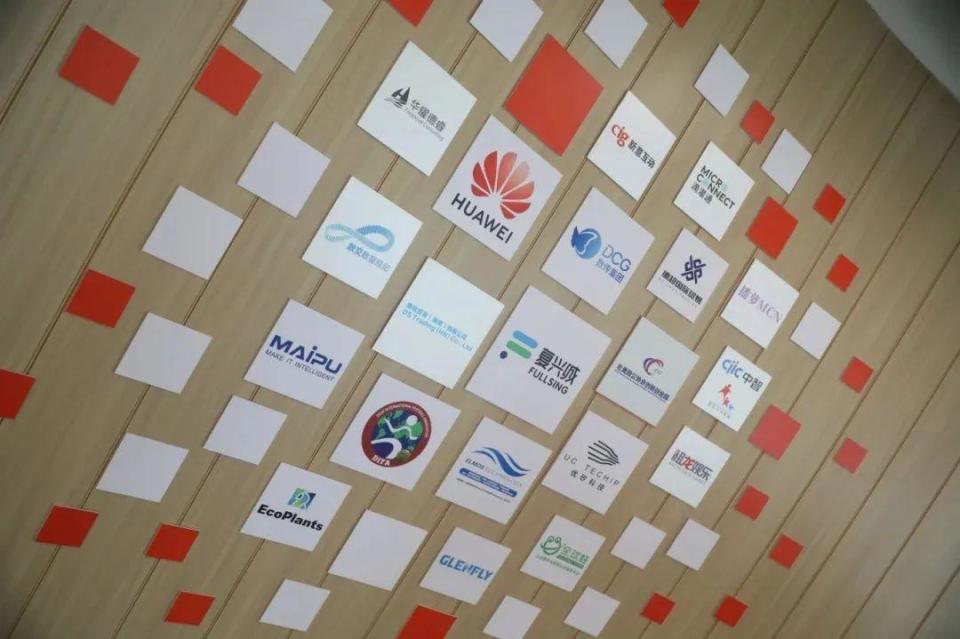 万千气象看海南 30位网络名人开启中国式现代化建设的海南之旅
